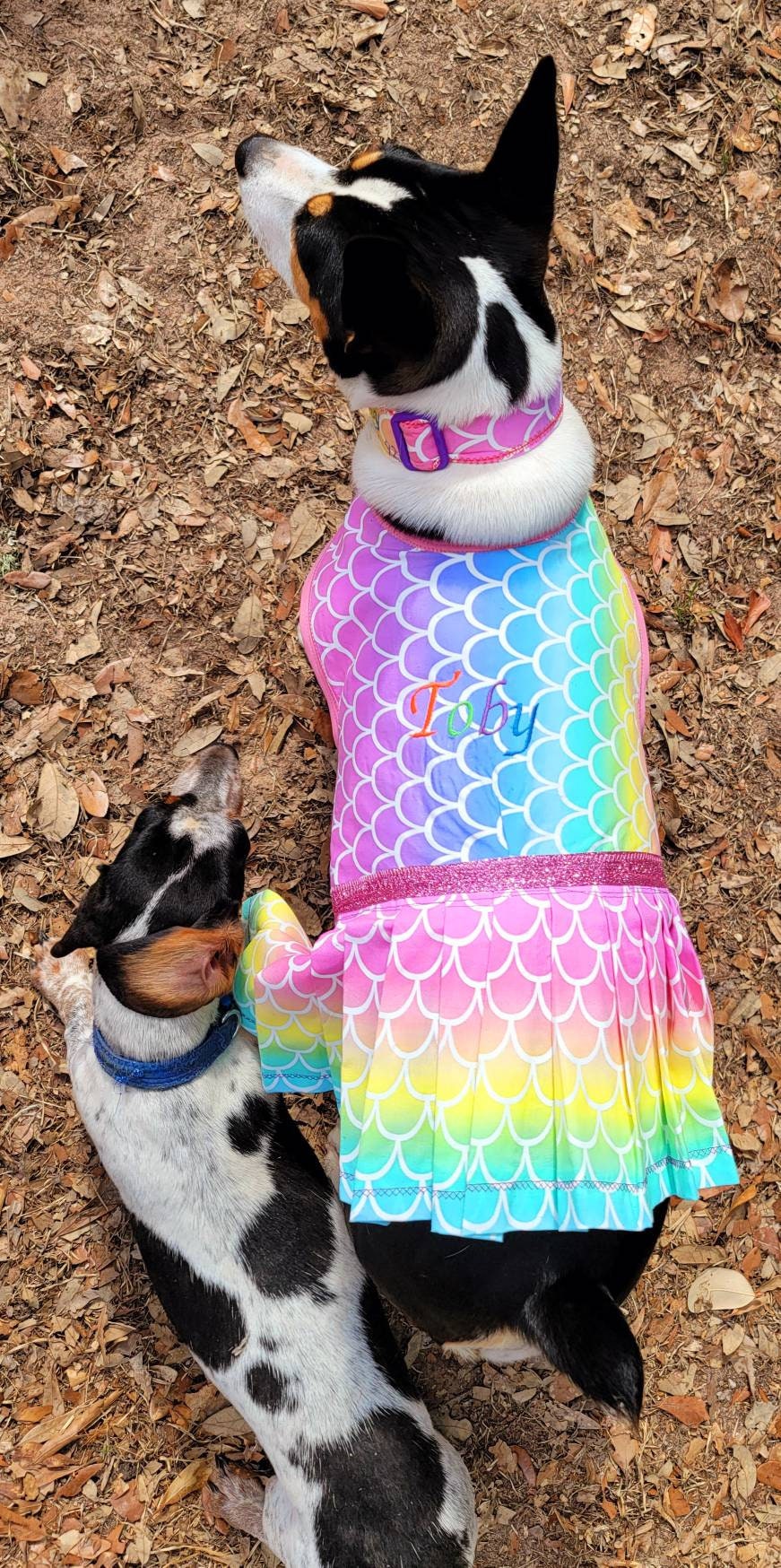 Mermaid Pet dress, Mermaid dog dress, personalized pet dress, personalized dog dress, personalized pet dresses, Mermaid print dress for pets