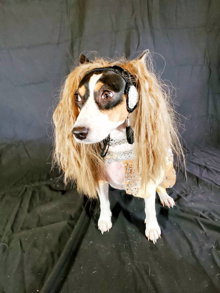 Britney Spears pet tan diamond costume, Britney spears dog tan diamond costume, Britney spears myv outfit pet, pop singer pet costume