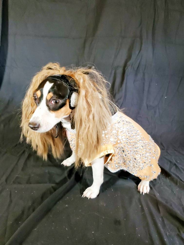 Britney Spears pet tan diamond costume, Britney spears dog tan diamond costume, Britney spears myv outfit pet, pop singer pet costume