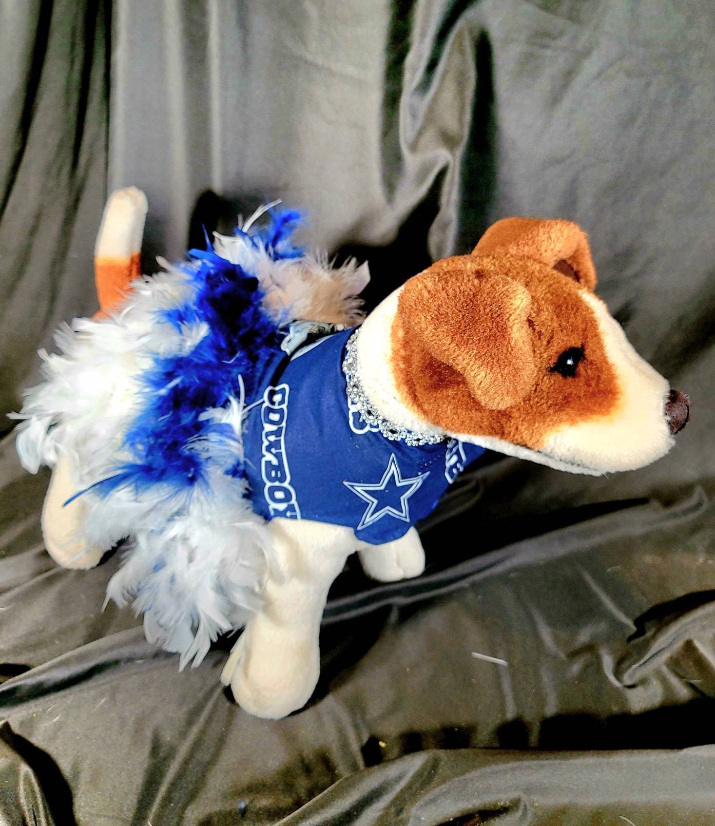Dallas Cowboy Pet feather dress, Dallas Cowboy Dog feather dress, Dallas Cowboy Pet dress, feather pet dress, nfl pet dress, nfl dog dress
