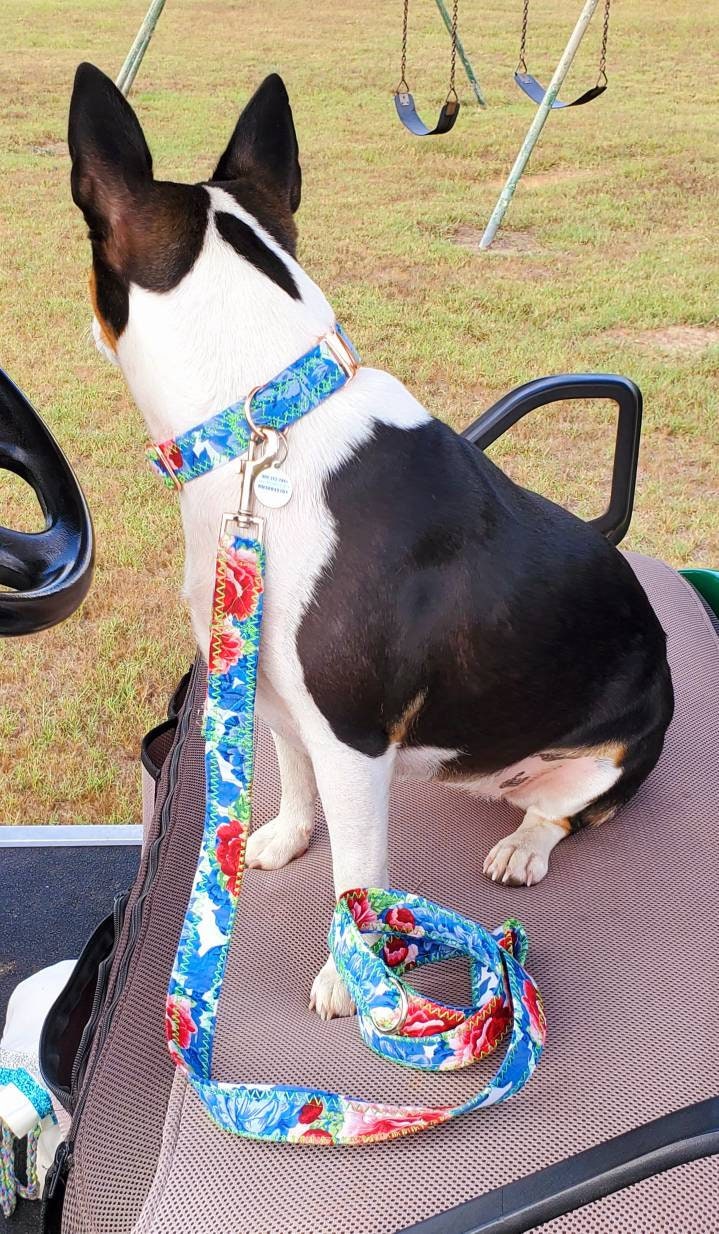 Pet leash and collar set, dog leash and collar set, flower leash and collar combo, pet collars and leashes, dog collars and leashes