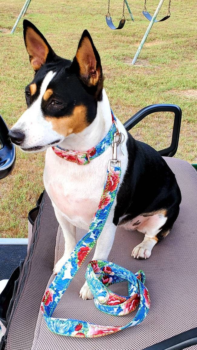 Pet leash and collar set, dog leash and collar set, flower leash and collar combo, pet collars and leashes, dog collars and leashes