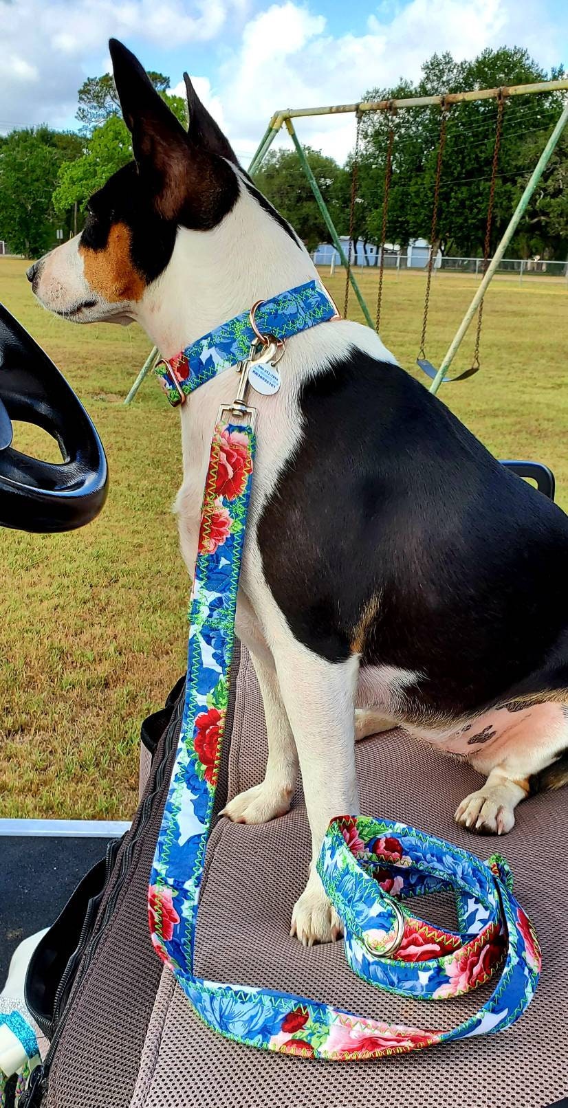 Pet leash and collar set, dog leash and collar set, flower leash and collar combo, pet collars and leashes, dog collars and leashes