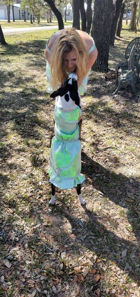 Brocade pet dress, brocade dog dress, brocade cat dress, 3D pet dress, handmade flower pet dress, dresses for pets, dog dresses
