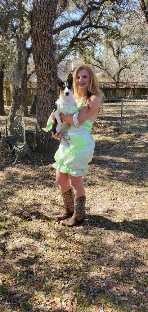 Brocade pet dress, brocade dog dress, brocade cat dress, 3D pet dress, handmade flower pet dress, dresses for pets, dog dresses
