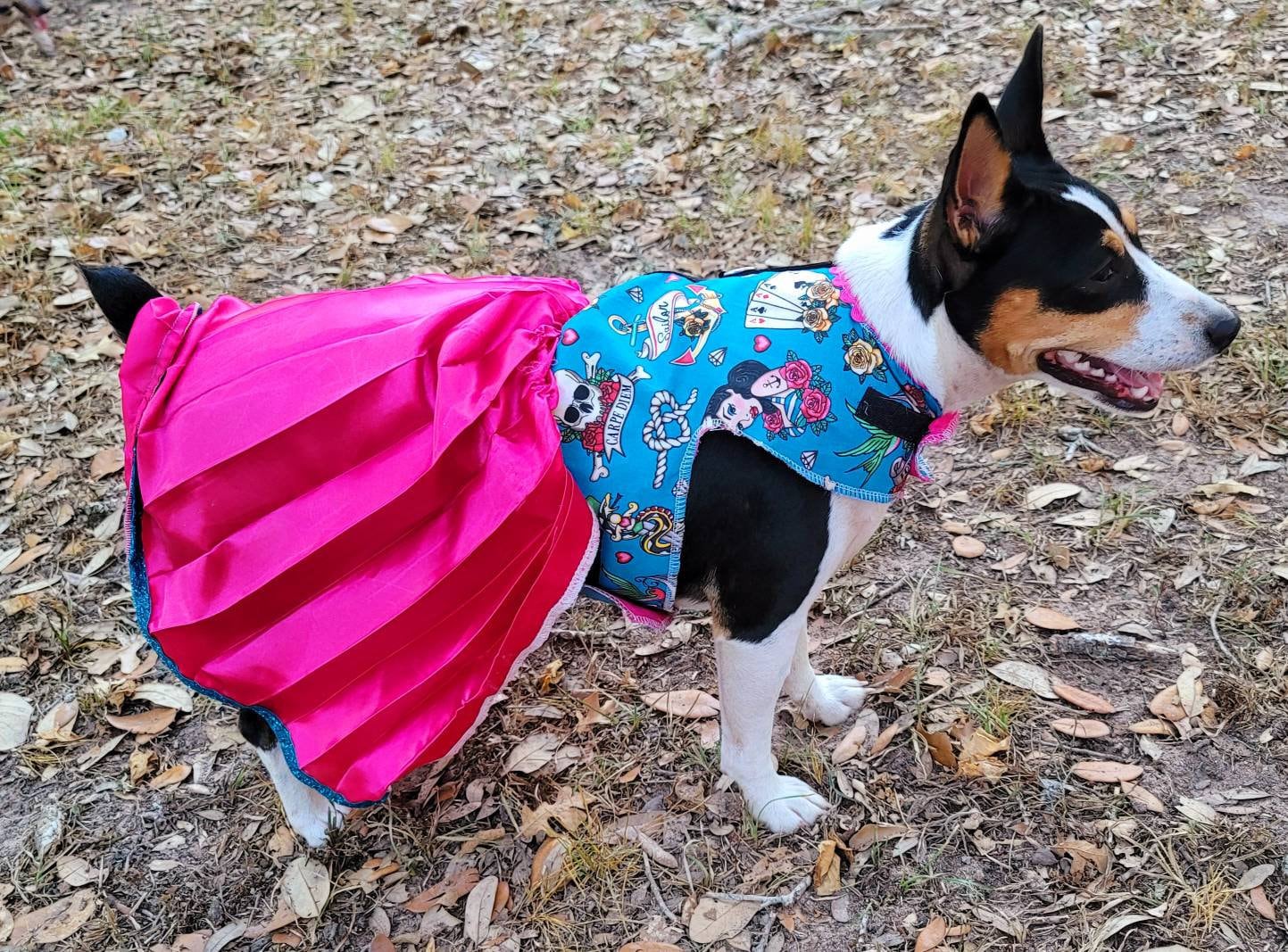 Tattoo print pet dress, Tattoo print dog dress, harness dress, pet harness dresses for dogs, dresses for dogs, tattoo print pet dress