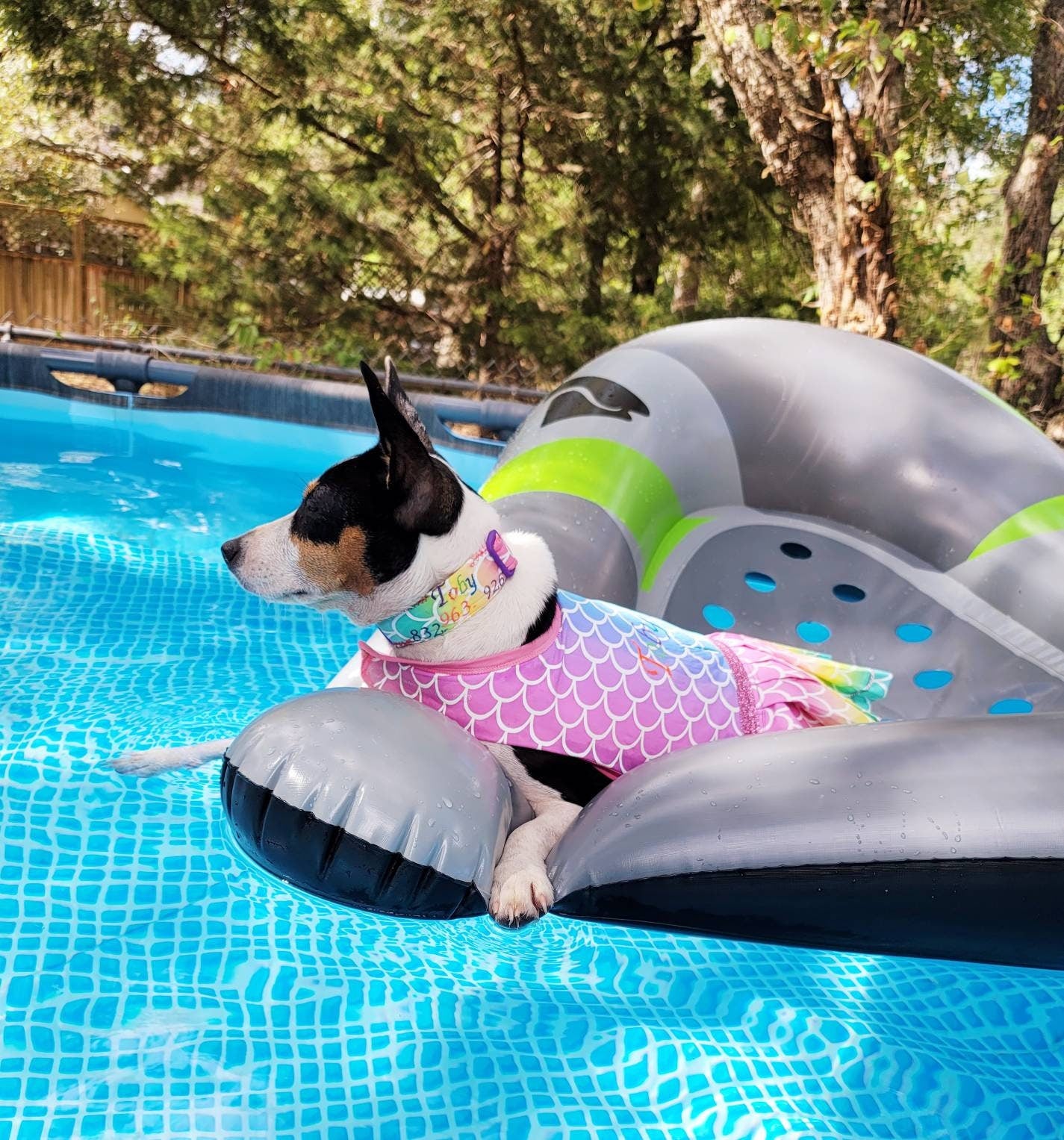 Mermaid Pet dress, Mermaid dog dress, personalized pet dress, personalized dog dress, personalized pet dresses, Mermaid print dress for pets