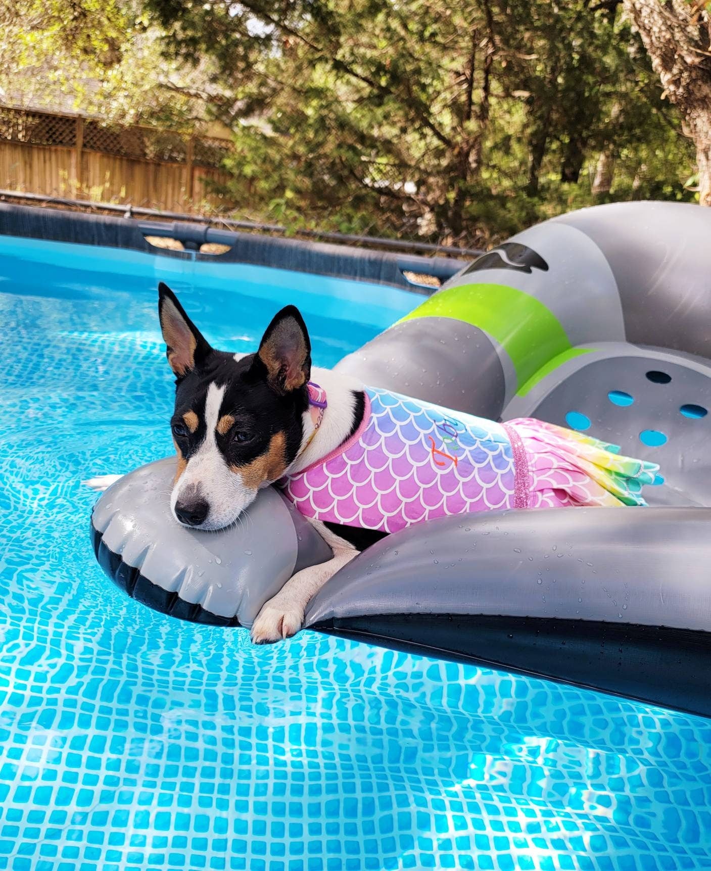 Mermaid Pet dress, Mermaid dog dress, personalized pet dress, personalized dog dress, personalized pet dresses, Mermaid print dress for pets