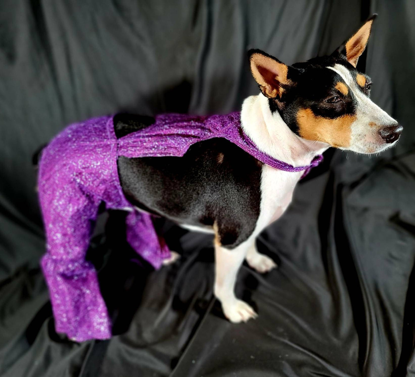 Selena replica Pet Costume, Selena Dog costume, Selena Iconic purple pet costume, Selena purple jumpsuit pet dog cat costume, wig selena
