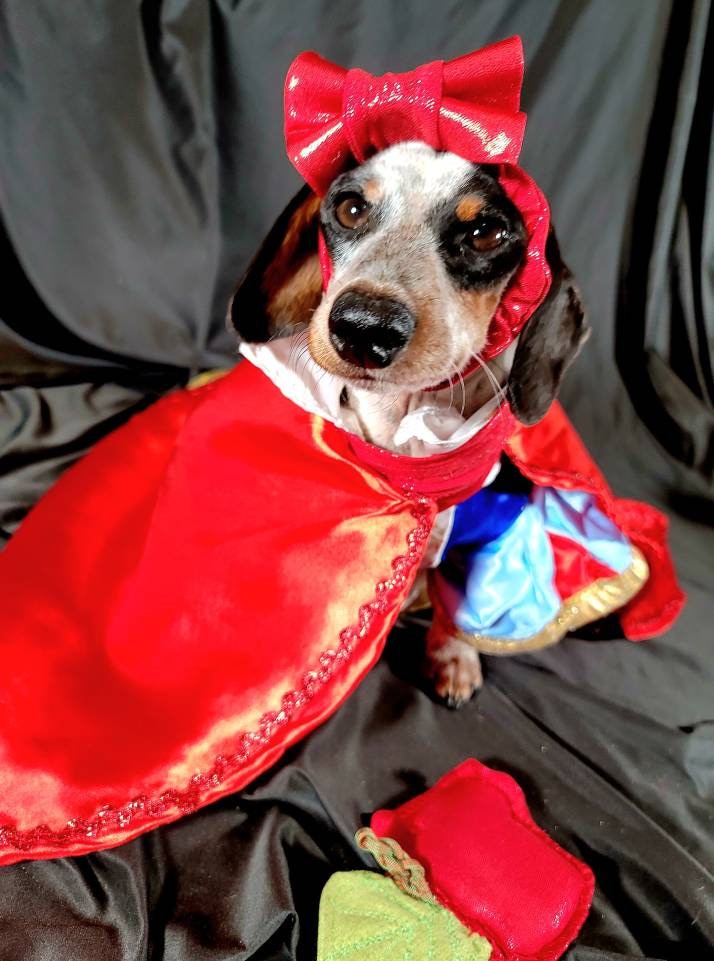- Snow White Pet Costume, Snow White Dog Costume, Snow White Cat Costume, Disney Pet Costume, pet dress Costume, Halloween Pet costume girls