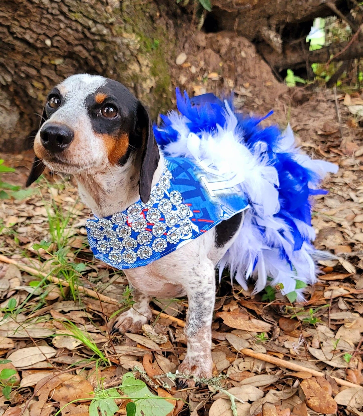 Dodgers feather pet dress, Dodgers feather dog dress, Dodgers cat dress, Los Angeles Dodgers pet dress, Los Angeles Dodgers dog dress