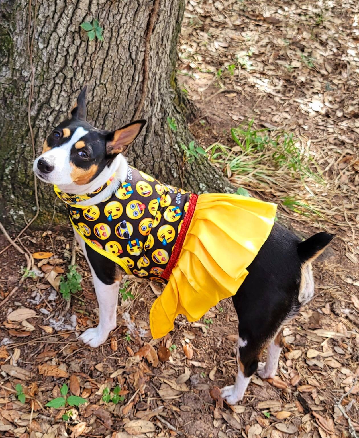 Emoji pet dress, Emoji pet harness, emoji dog dress, emoji dog harness, emoji cat harness, Smiley face pet dress, yellow pet dress