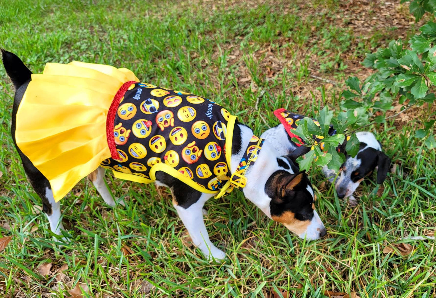 Emoji pet dress, Emoji pet harness, emoji dog dress, emoji dog harness, emoji cat harness, Smiley face pet dress, yellow pet dress