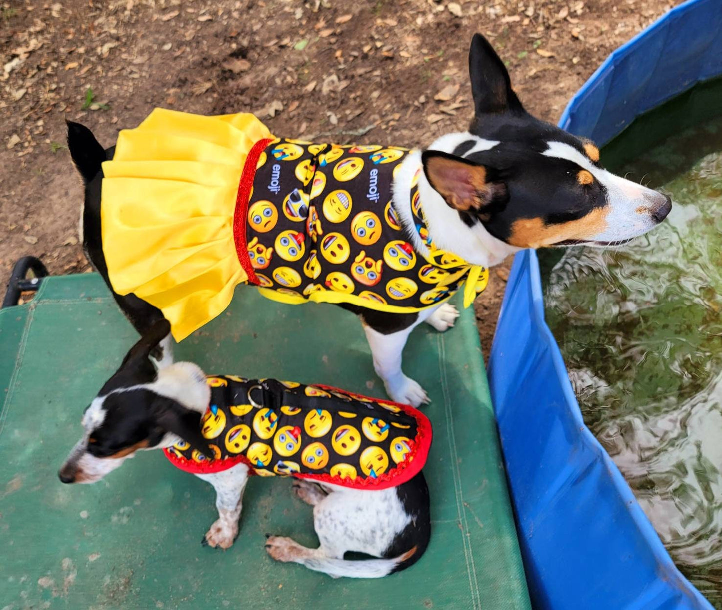 Emoji pet male harness, emoji dog dress, emoji dog harness, emoji cat harness, Smiley face pet harness, male dog pet harness Inactive