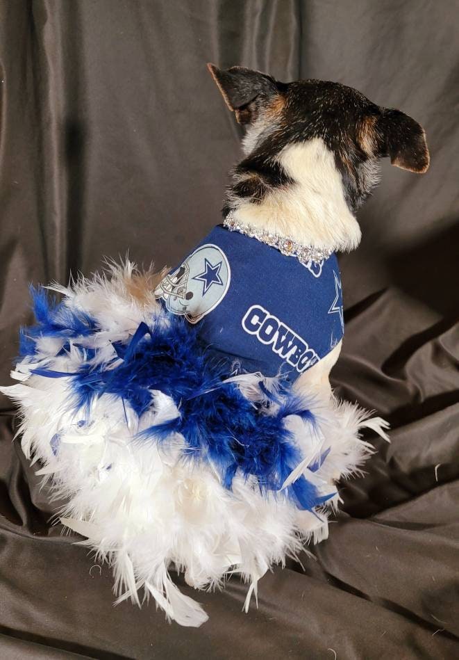 Dallas Cowboy Pet feather dress, Dallas Cowboy Dog feather dress, Dallas Cowboy Pet dress, feather pet dress, nfl pet dress, nfl dog dress