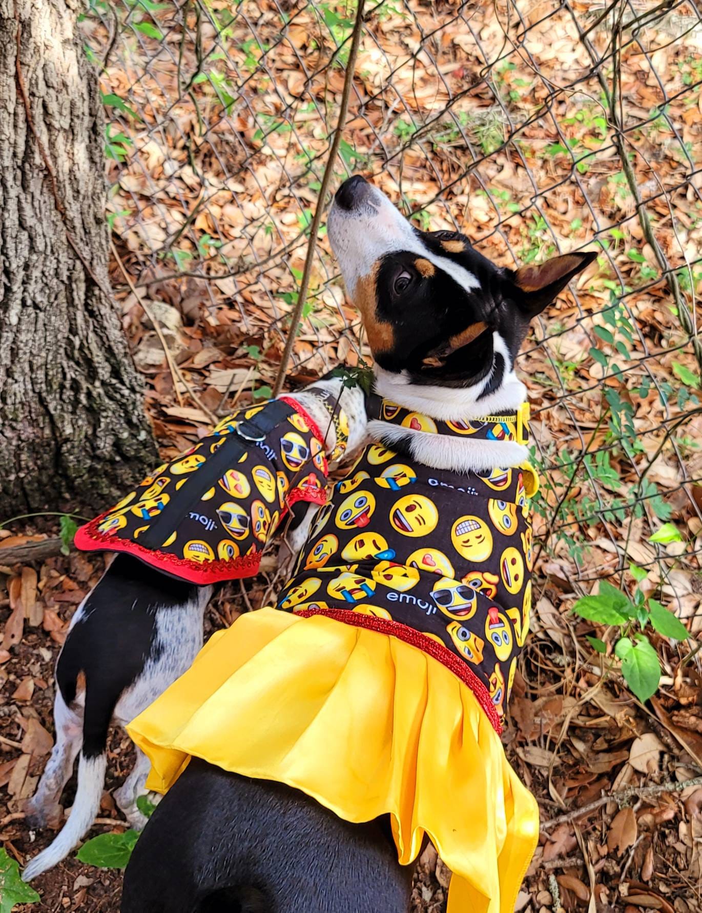 Emoji pet dress, Emoji pet harness, emoji dog dress, emoji dog harness, emoji cat harness, Smiley face pet dress, yellow pet dress