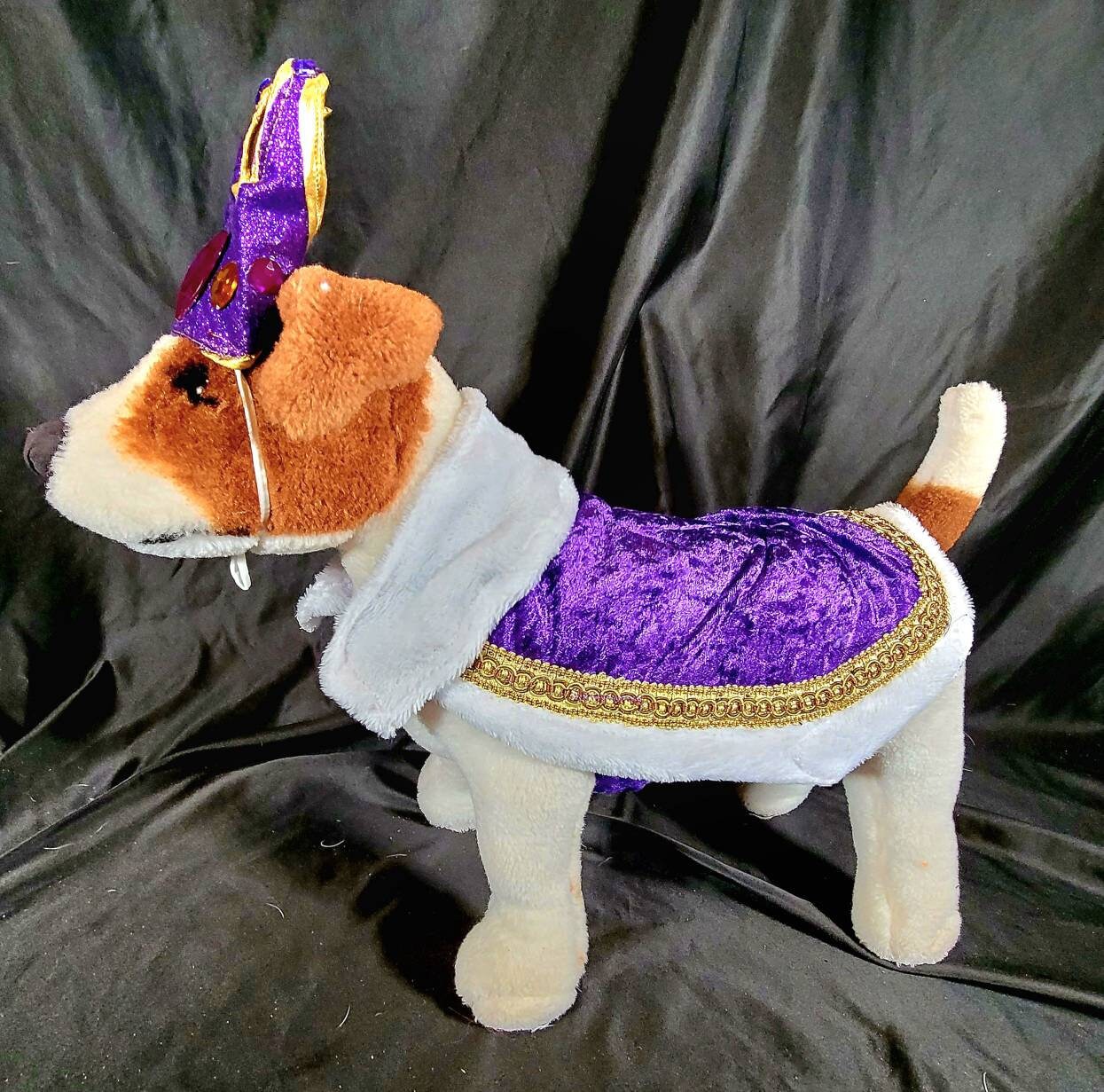 Renaissance male pet, Renaissance dog costume, Romeo pet costume, Medievil pet male costume, Medievil king pet, Renaissance king pet