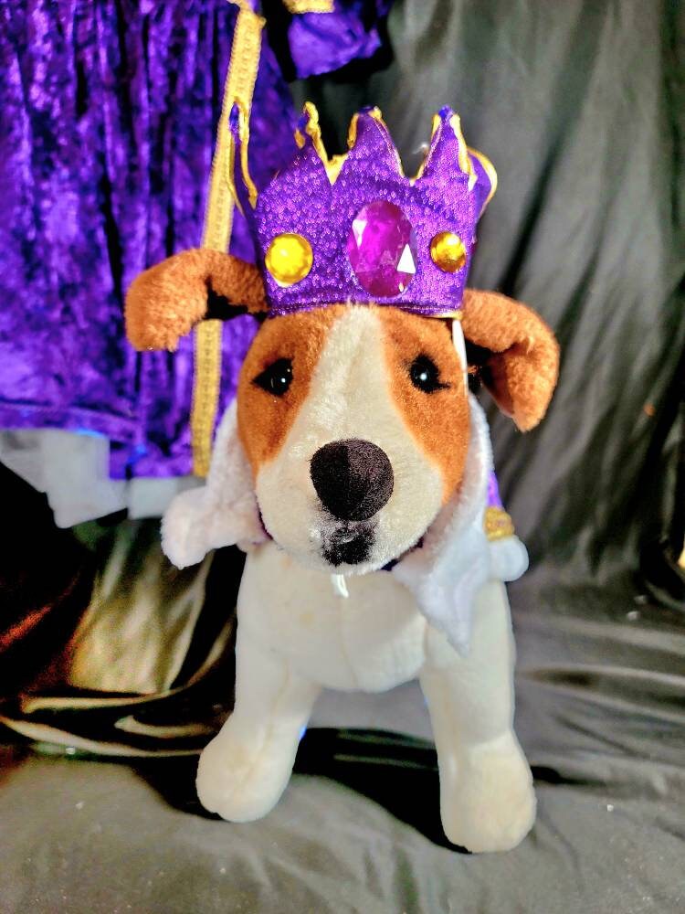 Renaissance male pet, Renaissance dog costume, Romeo pet costume, Medievil pet male costume, Medievil king pet, Renaissance king pet