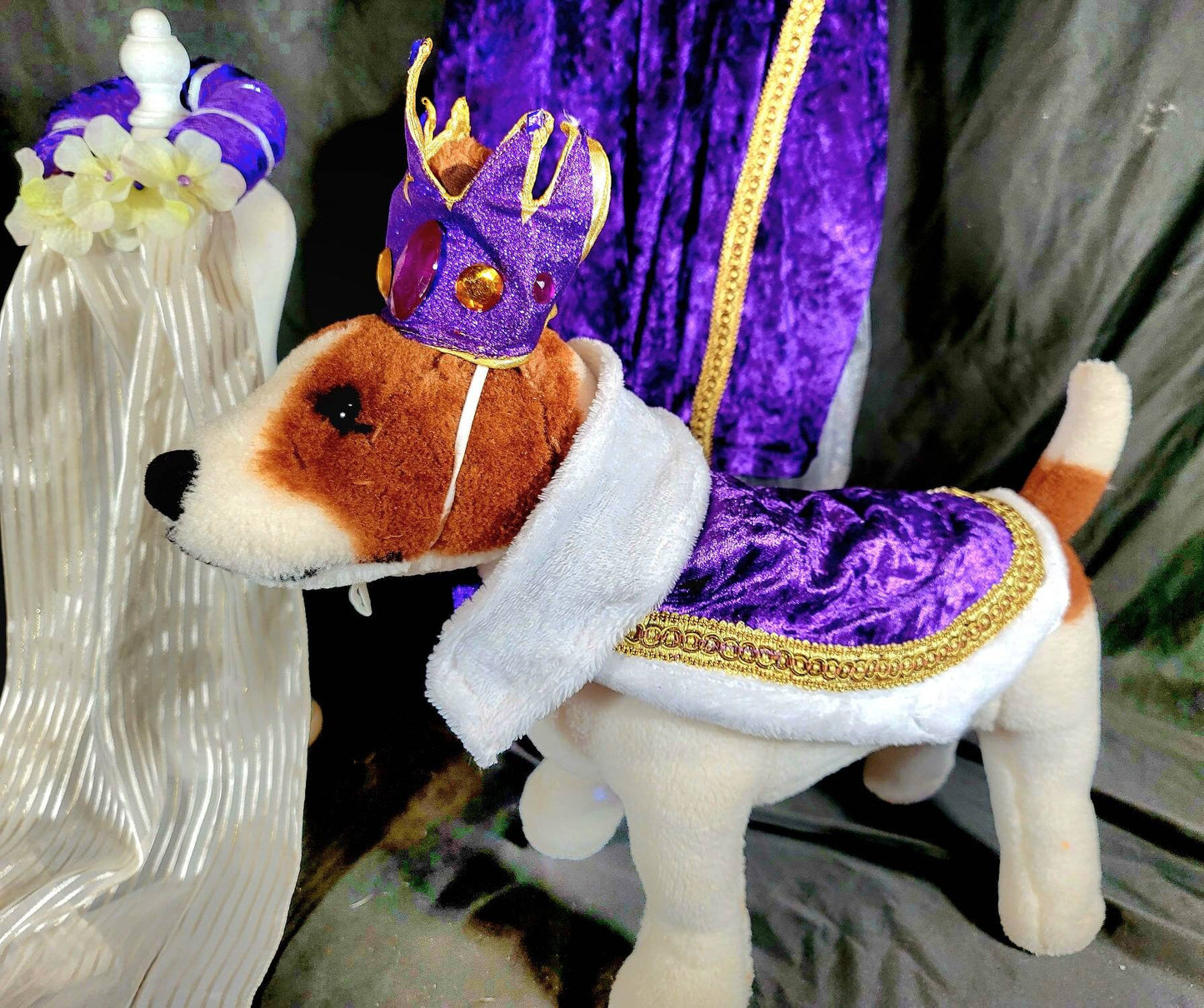 Renaissance male pet, Renaissance dog costume, Romeo pet costume, Medievil pet male costume, Medievil king pet, Renaissance king pet