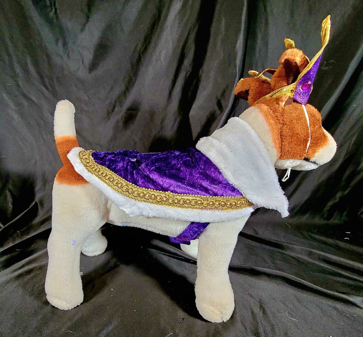 Renaissance male pet, Renaissance dog costume, Romeo pet costume, Medievil pet male costume, Medievil king pet, Renaissance king pet