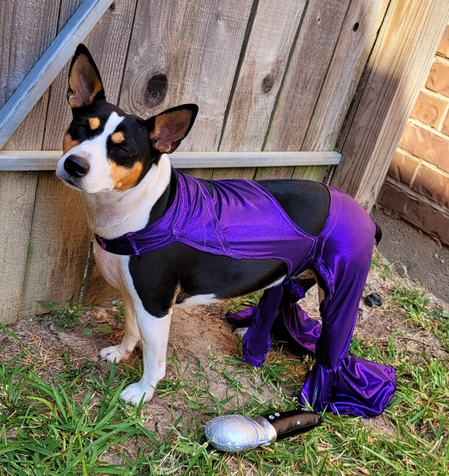 Selena replica Pet Costume, Selena Dog costume, Selena Iconic purple pet costume, Selena purple jumpsuit pet dog cat costume, wig selena