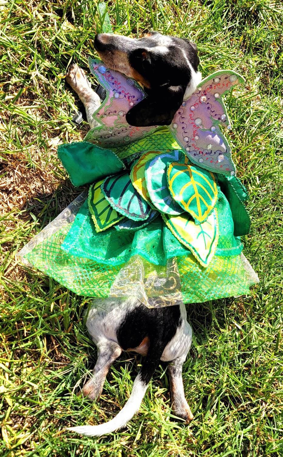 - Tinkerbell Pet Costume, Fairy Princess Pet Costume, Fairy Princess Cat dog costume, Halloween Pet costume, Tinkerbell dog costume