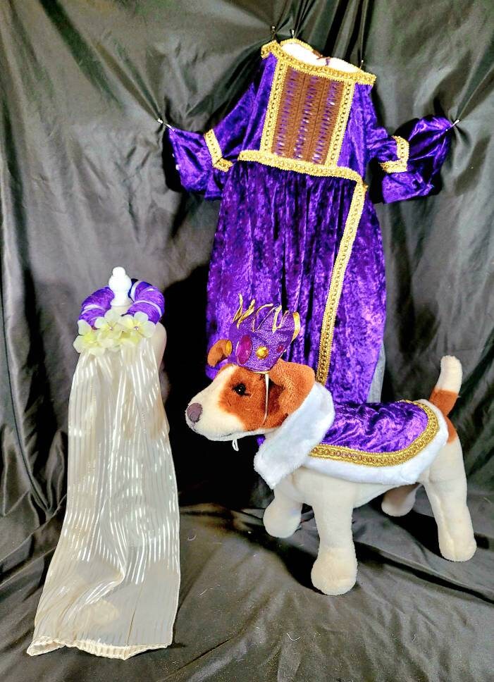 Renaissance male pet, Renaissance dog costume, Romeo pet costume, Medievil pet male costume, Medievil king pet, Renaissance king pet