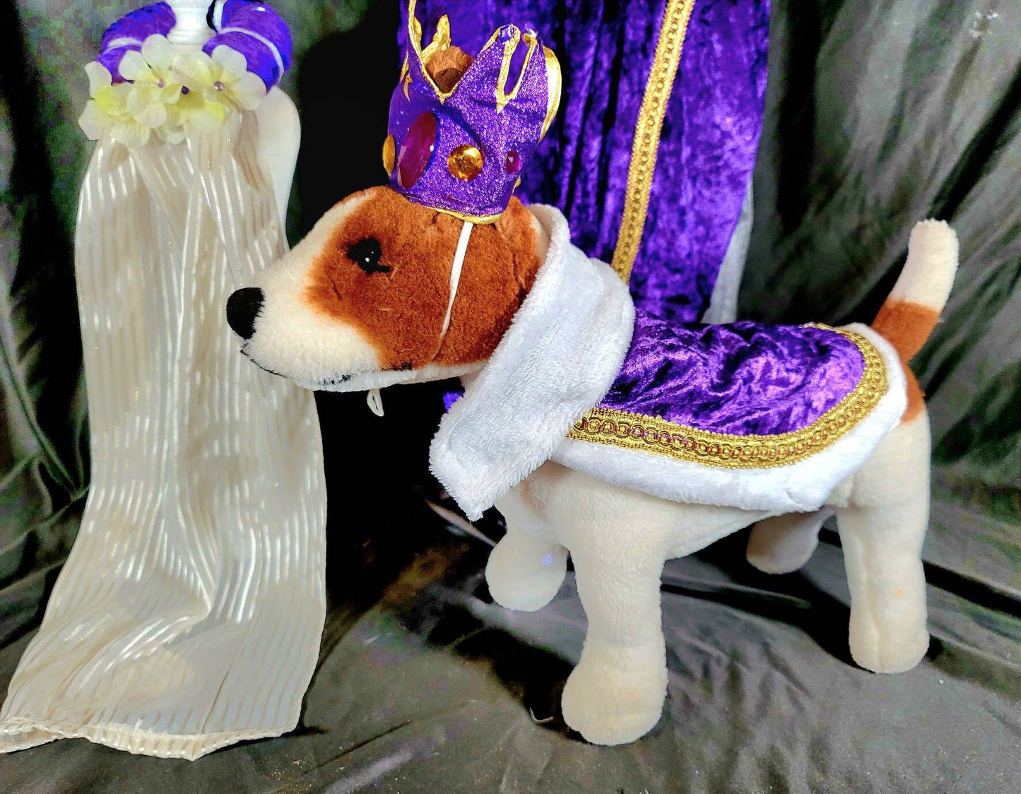 Renaissance male pet, Renaissance dog costume, Romeo pet costume, Medievil pet male costume, Medievil king pet, Renaissance king pet