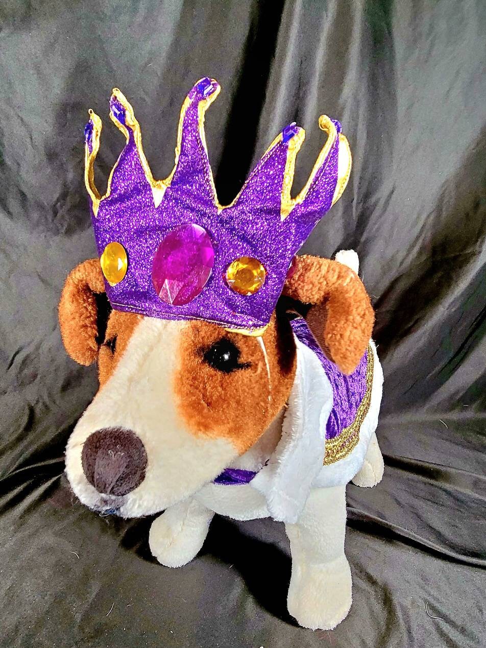 Renaissance male pet, Renaissance dog costume, Romeo pet costume, Medievil pet male costume, Medievil king pet, Renaissance king pet