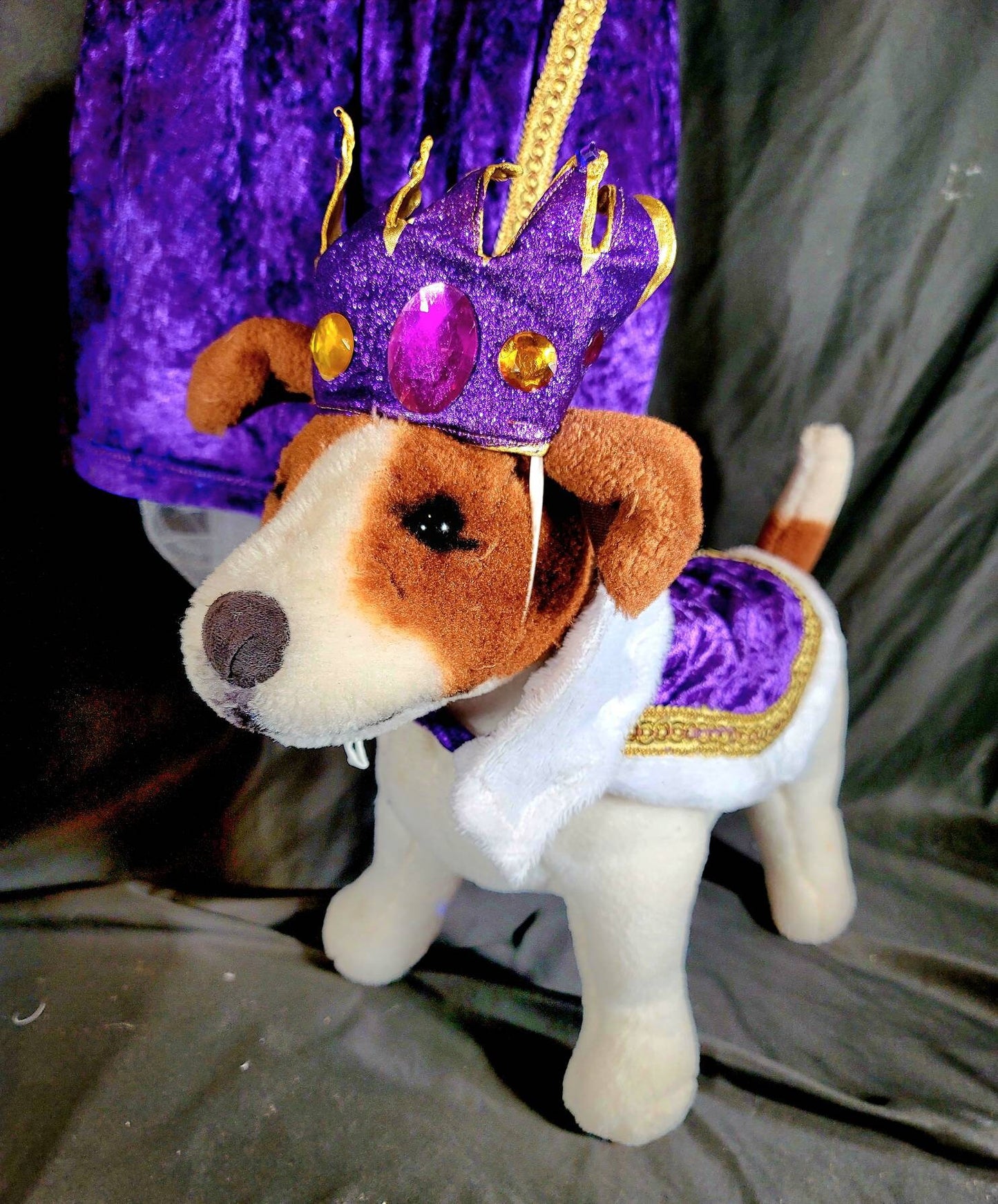 Renaissance male pet, Renaissance dog costume, Romeo pet costume, Medievil pet male costume, Medievil king pet, Renaissance king pet