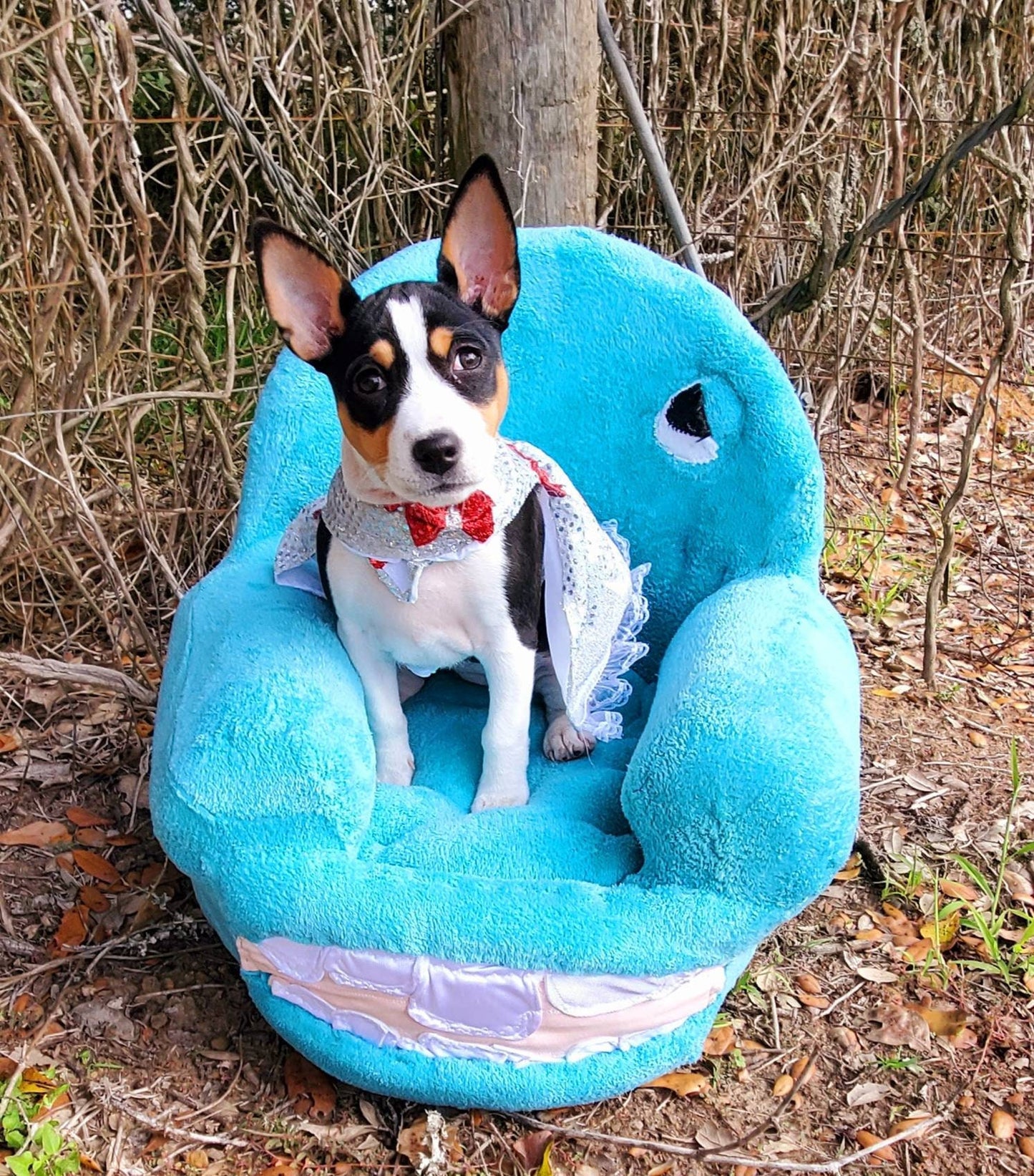 Chairry Pet Chair, Chairry dog chair, Pee Wee Hermann pet chair Pee Wee Hermann dog bed, Chairry PeeWee pet bed, luxury pet bed