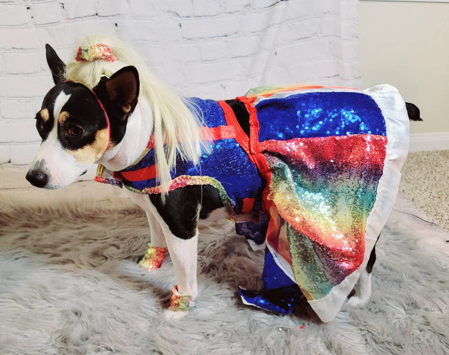 Rainbow Bright pet costume, Rainbow Bright dog costume, Rainbow Bright Cat costume, Rainbow sequin pet dress, Rainbow dog dress, Rainbow pet