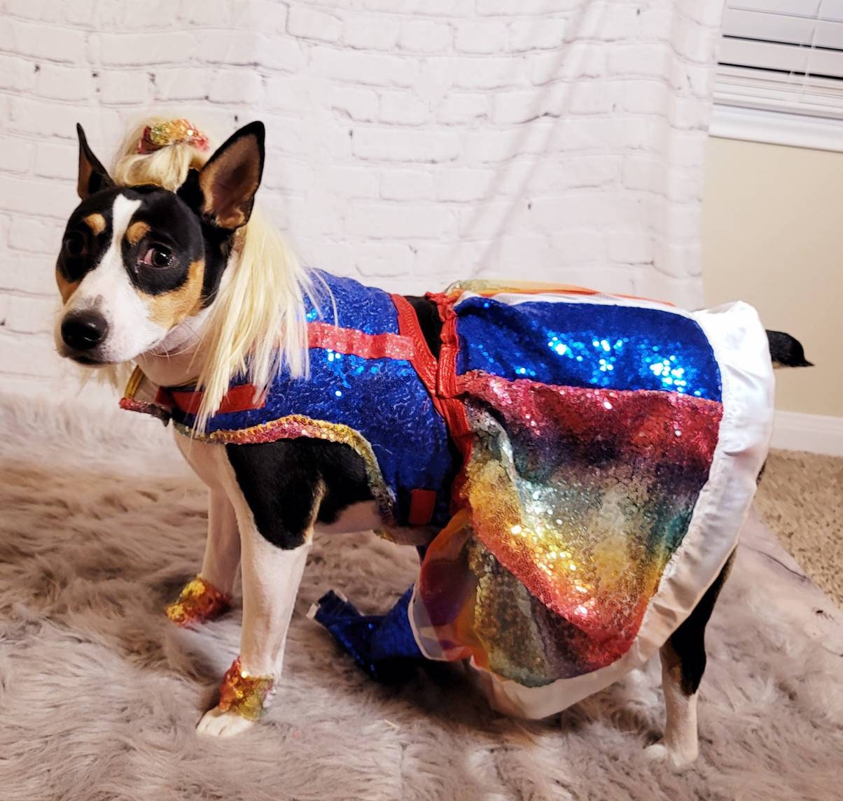 Rainbow Bright pet costume, Rainbow Bright dog costume, Rainbow Bright Cat costume, Rainbow sequin pet dress, Rainbow dog dress, Rainbow pet