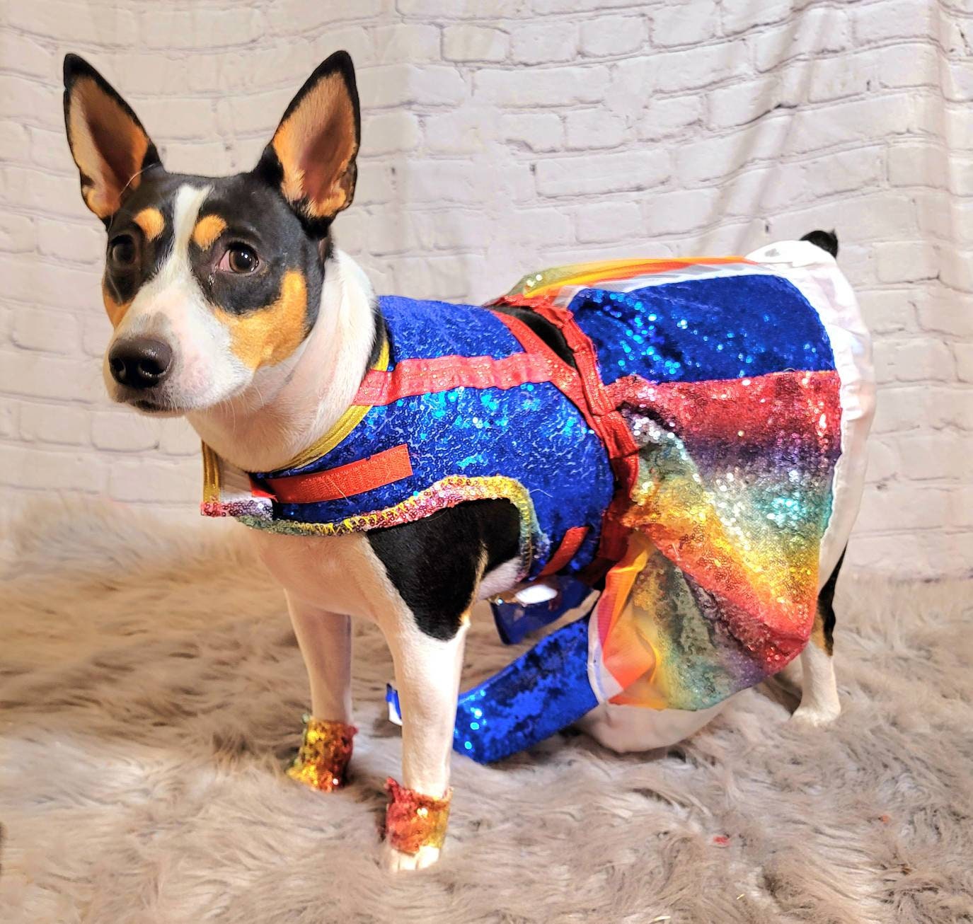 Rainbow Bright pet costume, Rainbow Bright dog costume, Rainbow Bright Cat costume, Rainbow sequin pet dress, Rainbow dog dress, Rainbow pet