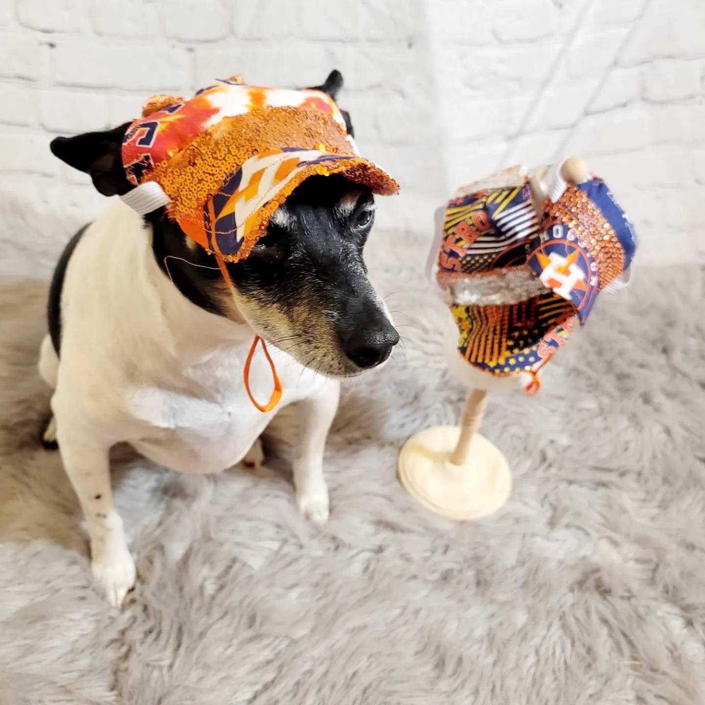 Pet sequin hat, pet astros sequin hat, dog astros sequin hat, pet hats, dog hats, Houston astro sequin hat, hats for dogs