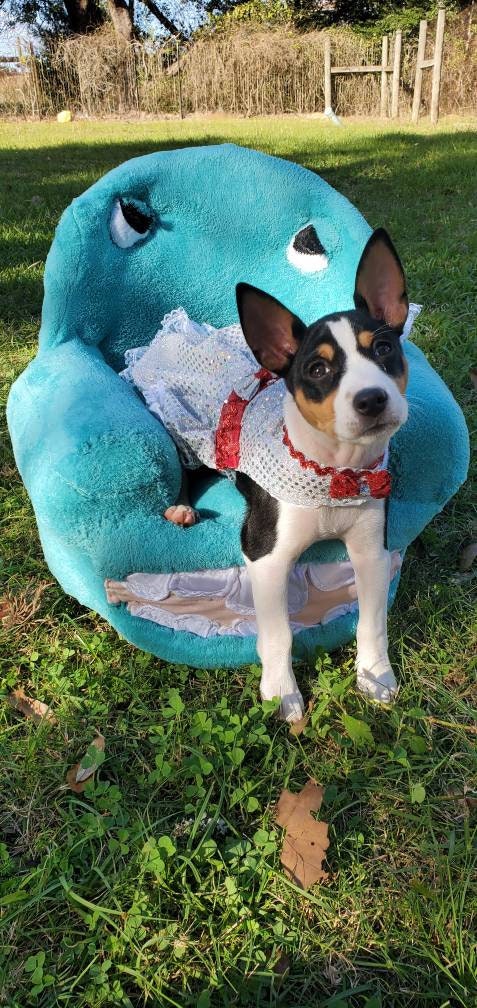 Chairry Pet Chair, Chairry dog chair, Pee Wee Hermann pet chair Pee Wee Hermann dog bed, Chairry PeeWee pet bed, luxury pet bed
