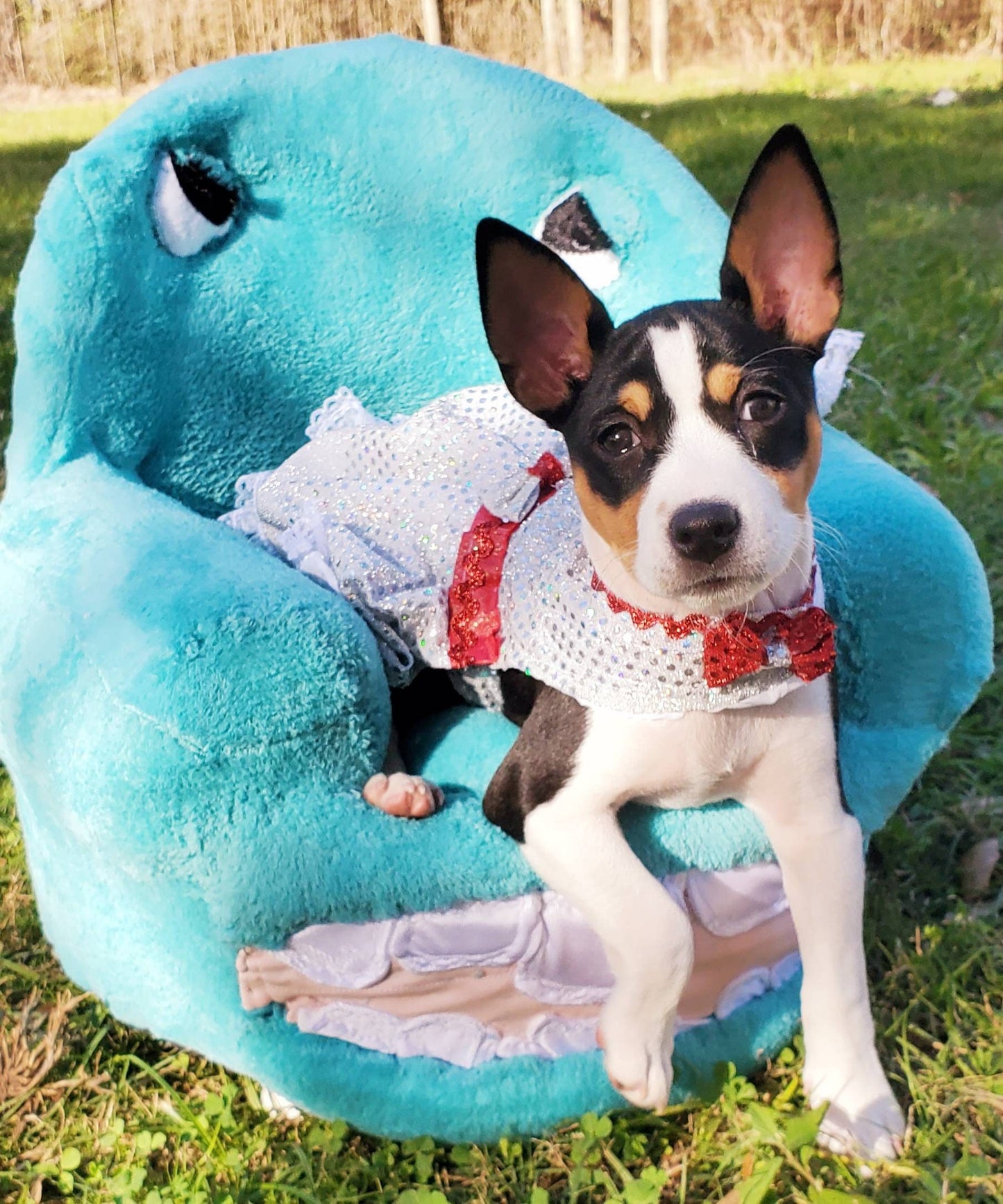 Chairry Pet Chair, Chairry dog chair, Pee Wee Hermann pet chair Pee Wee Hermann dog bed, Chairry PeeWee pet bed, luxury pet bed