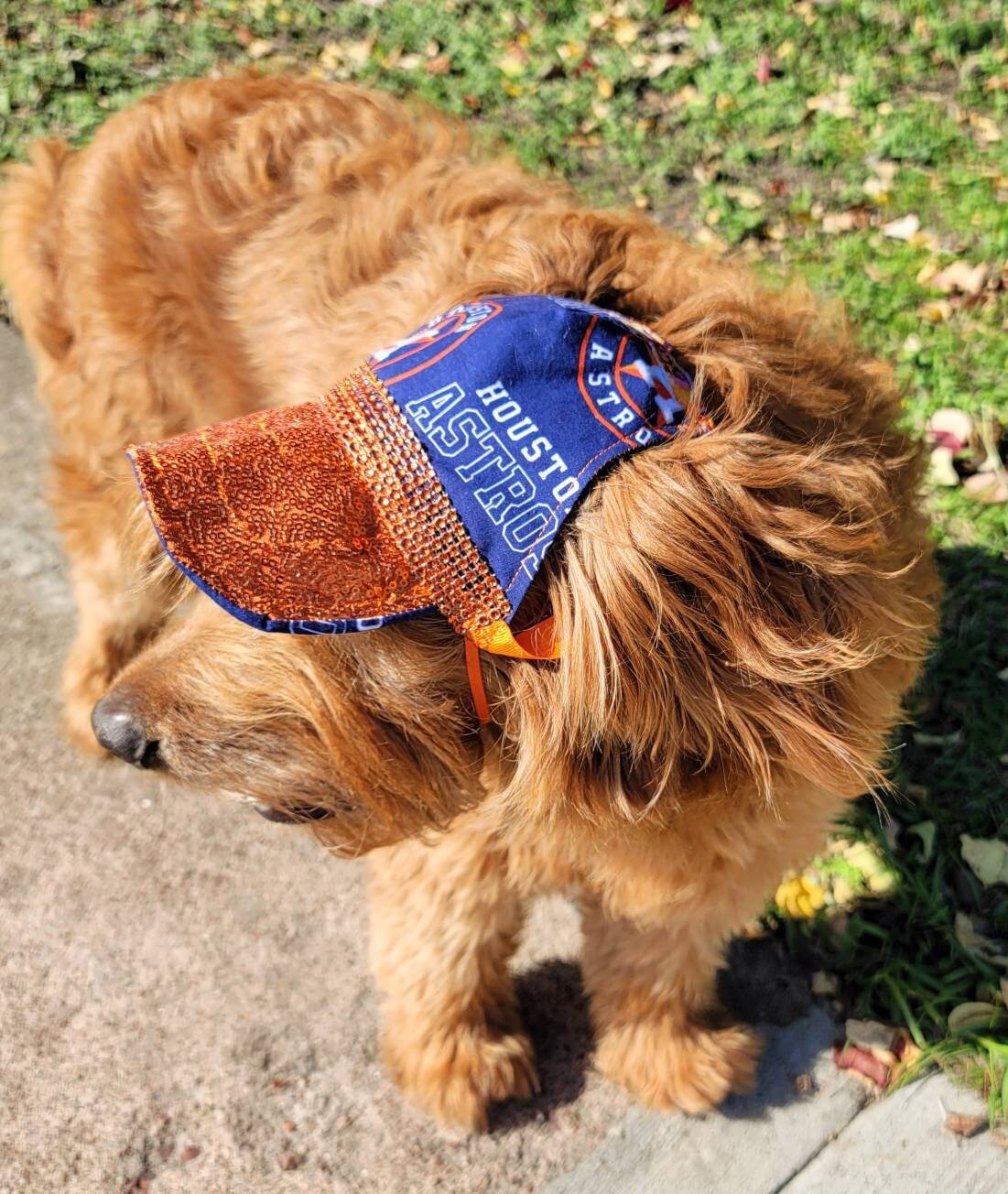 Pet sequin hat, pet astros sequin hat, dog astros sequin hat, pet hats, dog hats, Houston astro sequin hat, hats for dogs