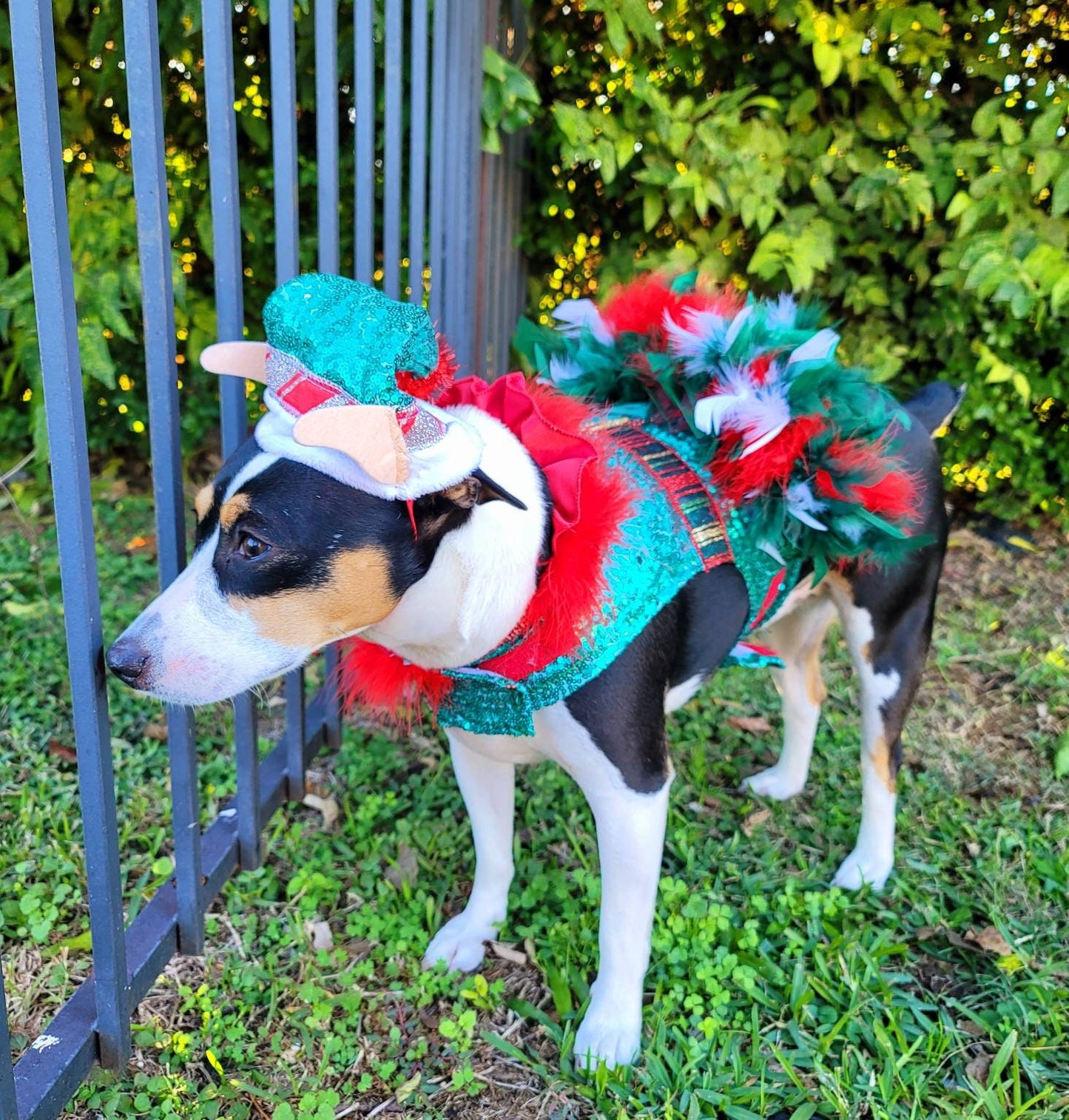 Pet sequin Elf Costume, Christmas Pet Elf costume, Dog Elf Costume, feather Elf Pet dress, Holiday Elf Costume, Christmas Pet costumes