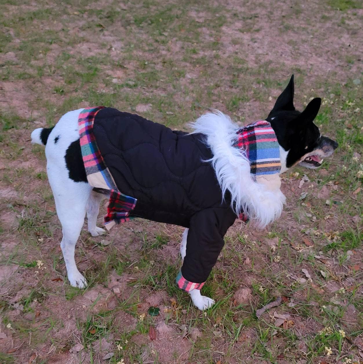 Pet hoodie jacket, pet winter jacket, pet coat, dog hoodie, dog jacket, quilted pet jacket, jackets for pets