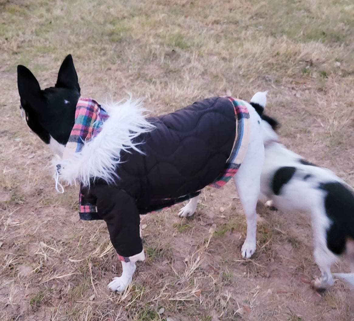 Pet hoodie jacket, pet winter jacket, pet coat, dog hoodie, dog jacket, quilted pet jacket, jackets for pets