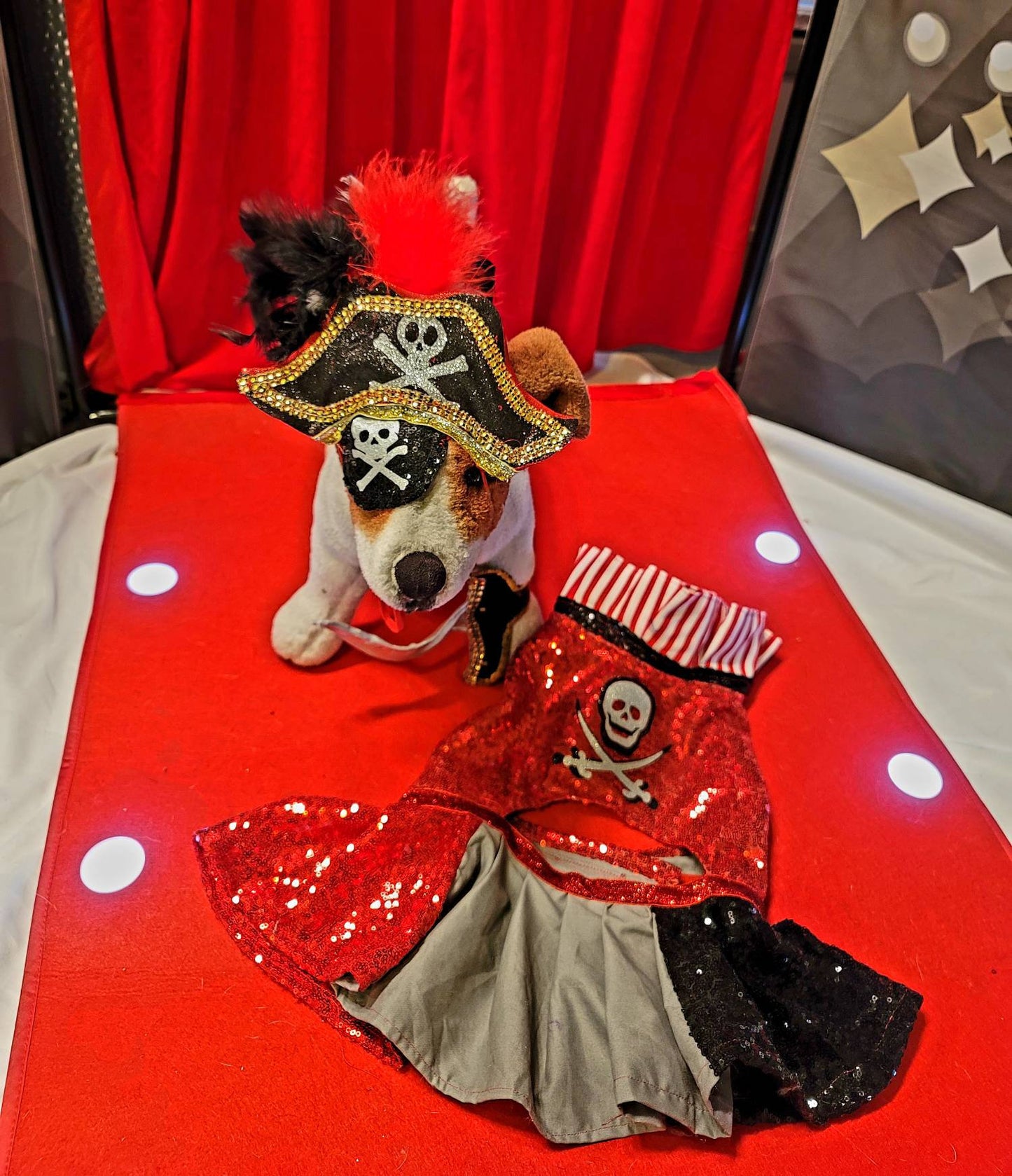 Pet Pirate female Costume, Dog Pirate Costume, Pirate pet costume, Pirate cat costume, female Pirate pet, Pirate pet dress, pet costume