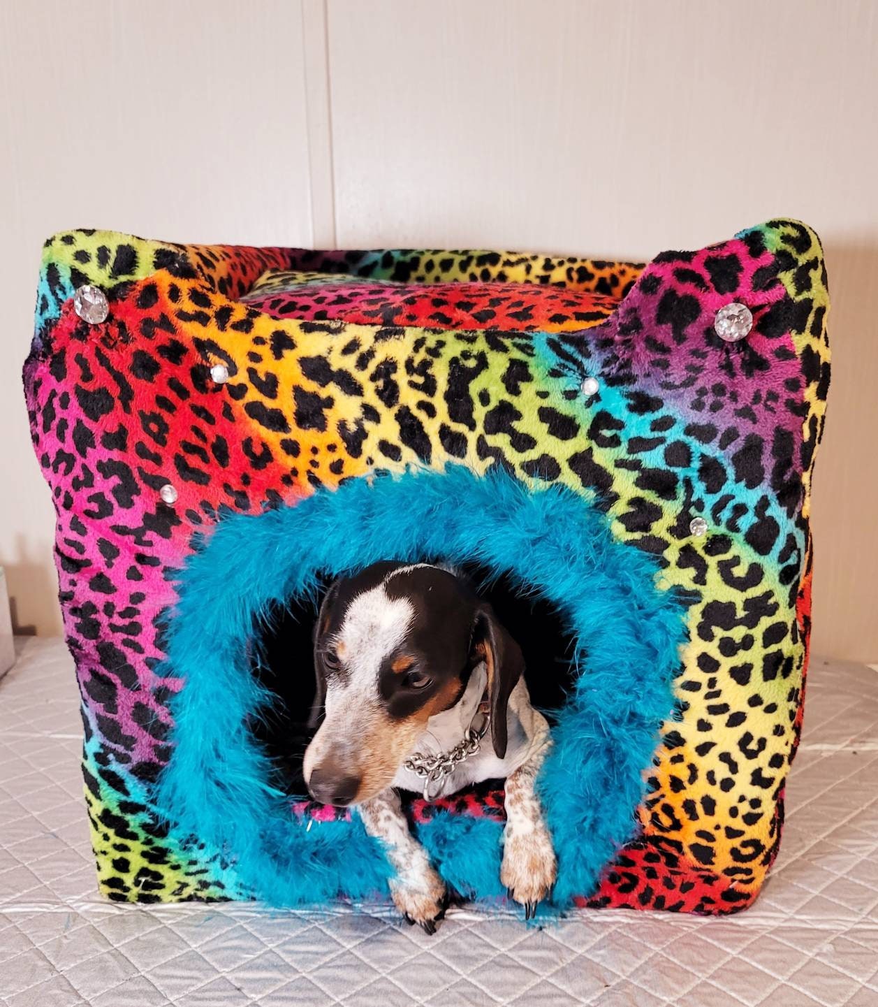 Cat loft bet, cat two story playhouse condo, cat two story bed, luxury cat play bed, pet two story bed, leopard cat bed, rainbow pet bed