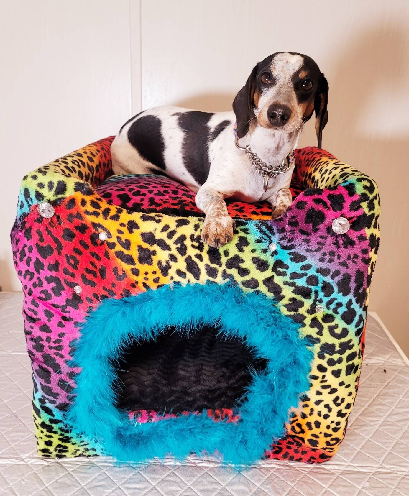 Cat loft bet, cat two story playhouse condo, cat two story bed, luxury cat play bed, pet two story bed, leopard cat bed, rainbow pet bed