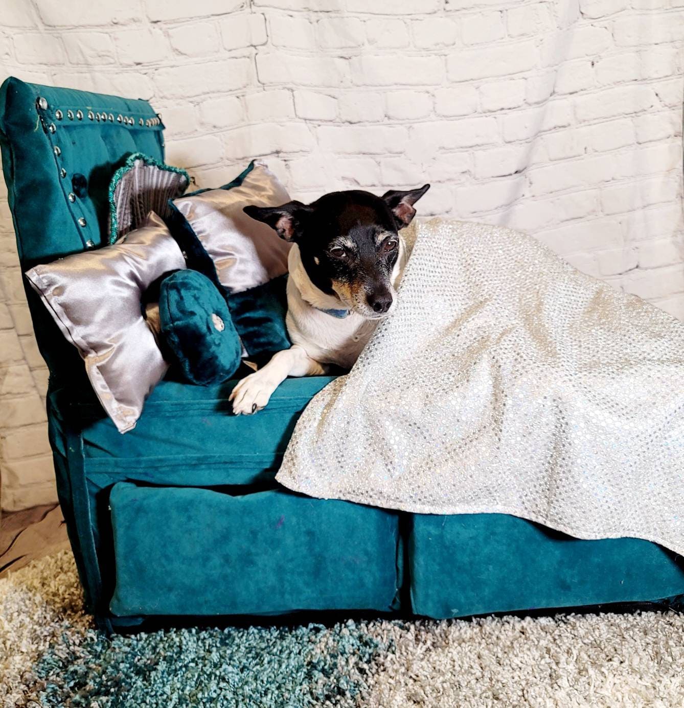 Upholstery pet bed, teal pet bed, storage pet bed, Upholstery dog bed, luxury dog bed, luxury pet bed, Upholstery pet furniture, pet beds