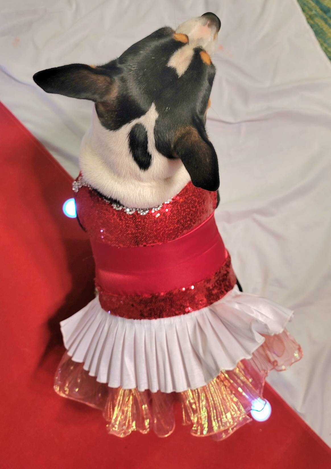 Valentine Pet Dress, Valentine dog dress, Red Sequin pet dress, Pet Valentine's dress, Dog Valentine's dress, pet dresses, cat dress