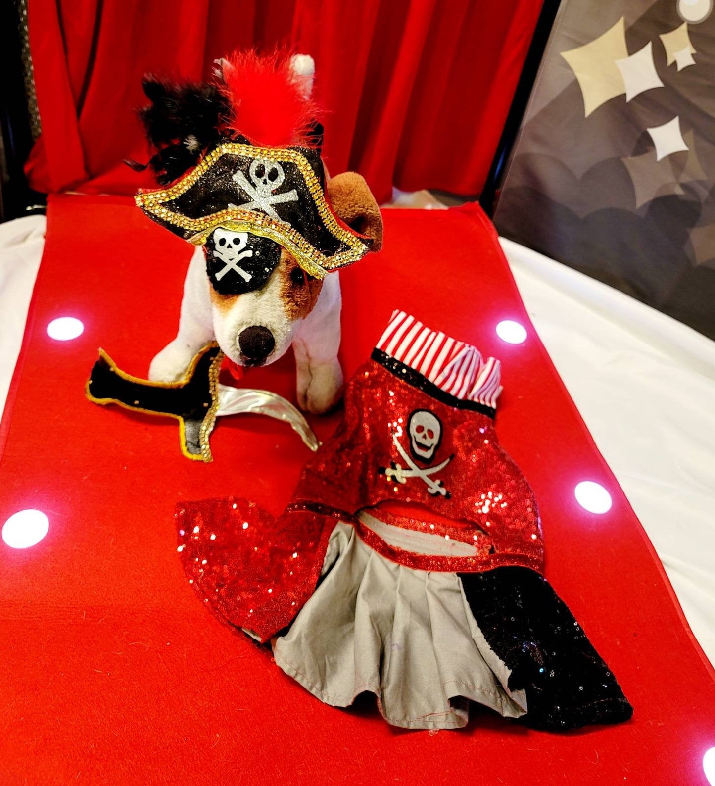 Pet Pirate female Costume, Dog Pirate Costume, Pirate pet costume, Pirate cat costume, female Pirate pet, Pirate pet dress, pet costume