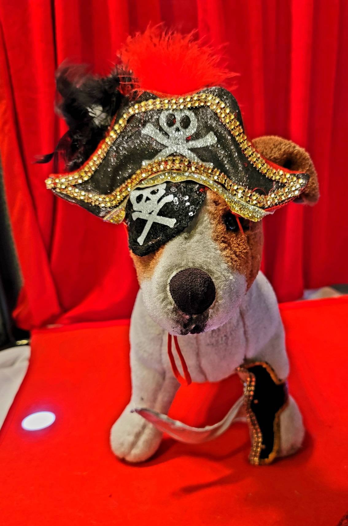 Pet Pirate female Costume, Dog Pirate Costume, Pirate pet costume, Pirate cat costume, female Pirate pet, Pirate pet dress, pet costume