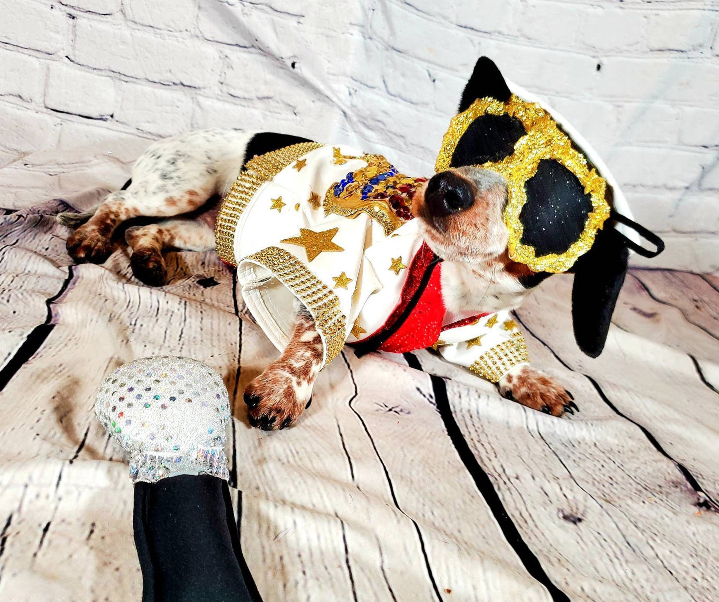 Pet Sunglasses, pet aviators, dog Sunglasses, dog aviators, cat Sunglasses, Sunglasses for pets