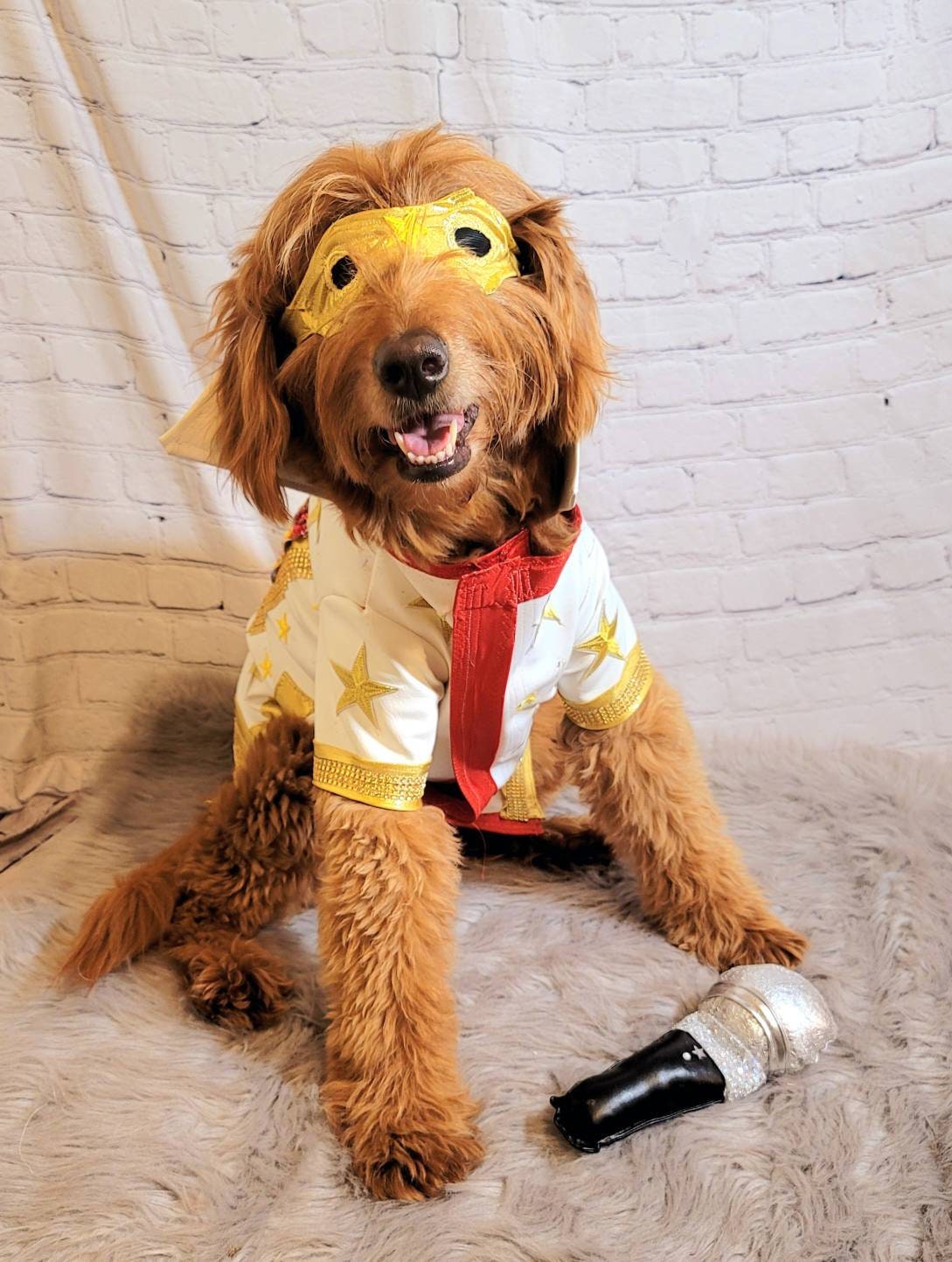 Pet Sunglasses, pet aviators, dog Sunglasses, dog aviators, cat Sunglasses, Sunglasses for pets